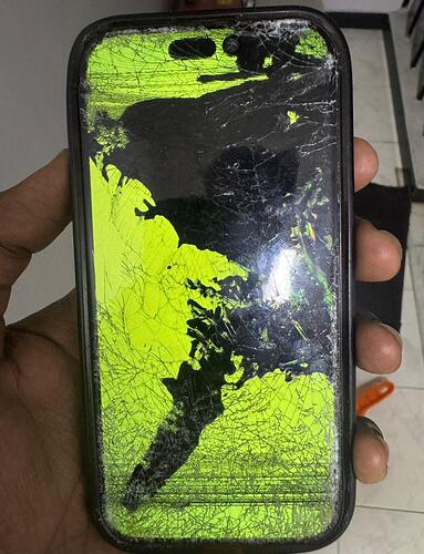 WhatsApp Image 2025-10-27 at 22.21.59 (1)